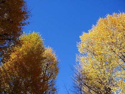 d0023323_0105894.jpg