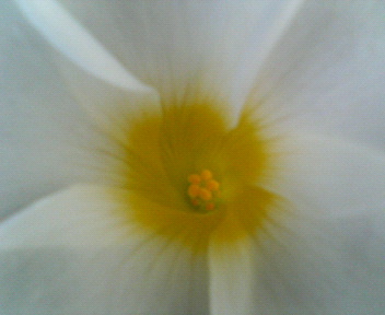 f0036223_11544422.jpg