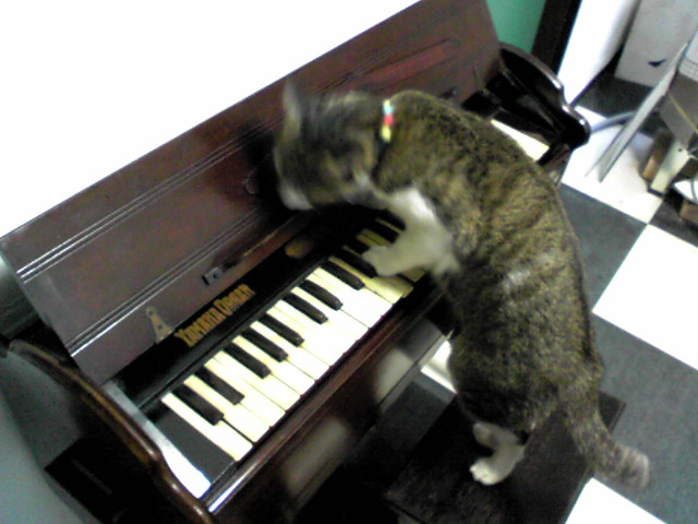 c0047024_2163095.jpg