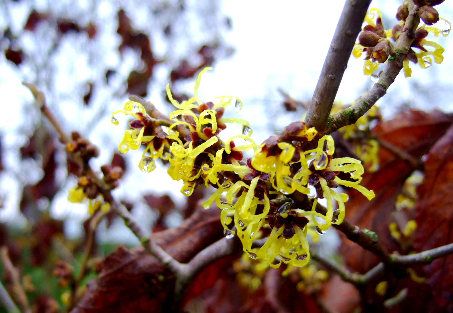 c0120526_09354.jpg