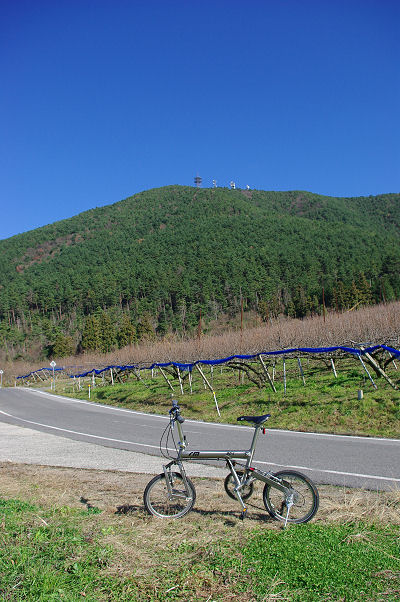 f0007926_1637449.jpg