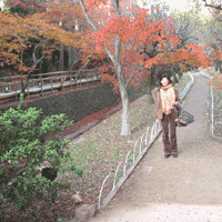 d0033734_14332952.gif