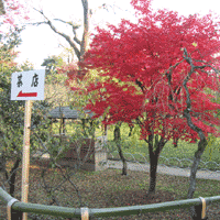 d0033734_14383972.gif