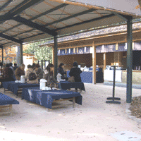 d0033734_1439857.gif