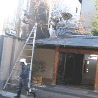 d0033734_15205493.gif