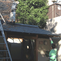 d0033734_15214447.gif