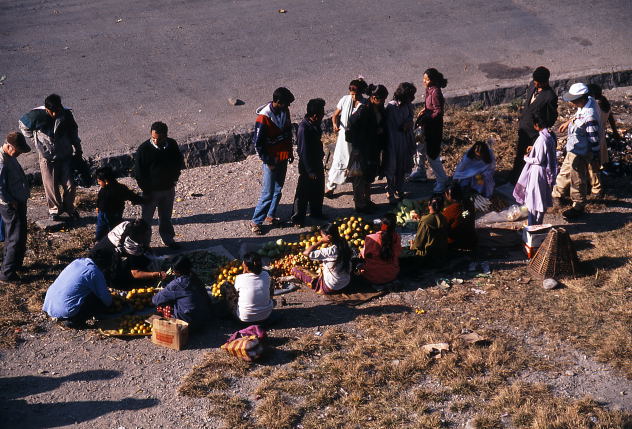 d0091834_10555787.jpg