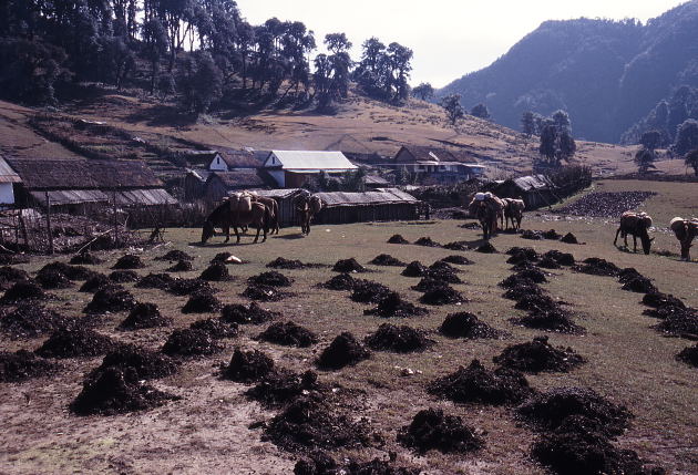 d0091834_10572886.jpg