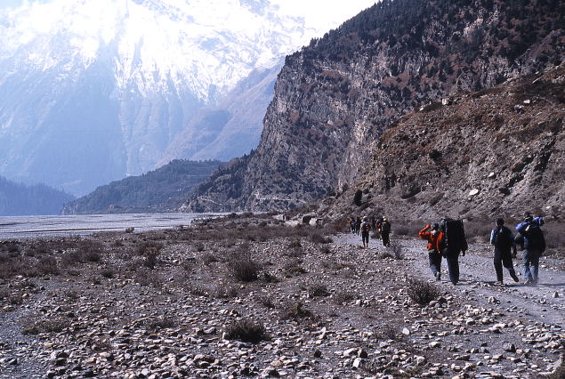 d0091834_11402290.jpg