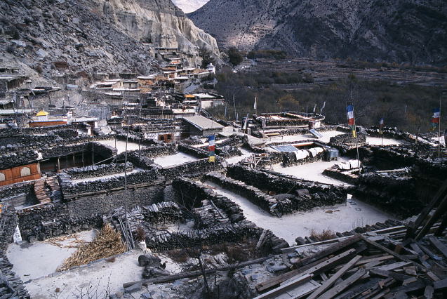 d0091834_11414589.jpg