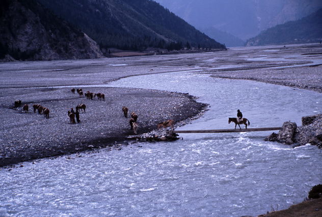 d0091834_11424058.jpg