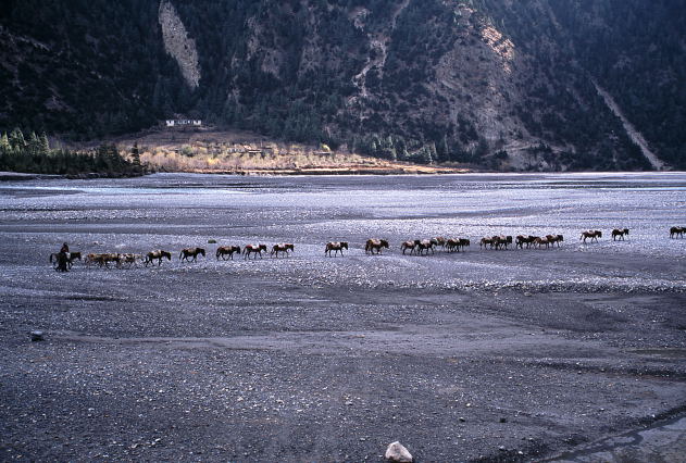 d0091834_11425050.jpg