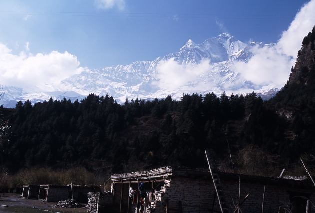 d0091834_1143283.jpg