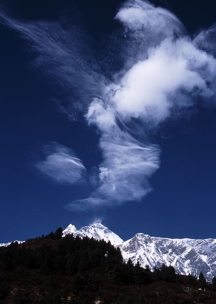 d0091834_11444015.jpg