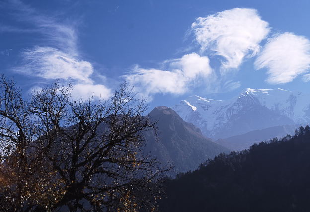 d0091834_1144828.jpg