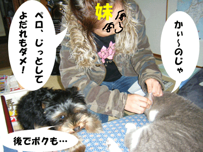 f0008935_13532271.gif