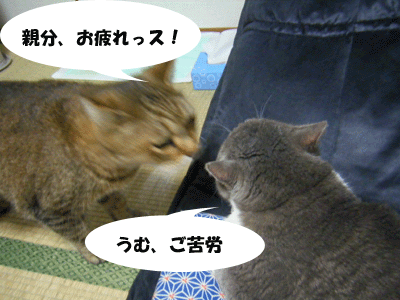 f0008935_1514269.gif