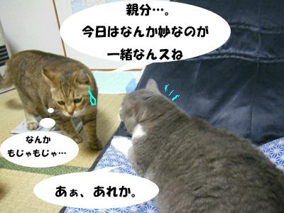 f0008935_1514996.gif