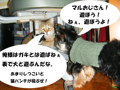 f0008935_1704496.gif