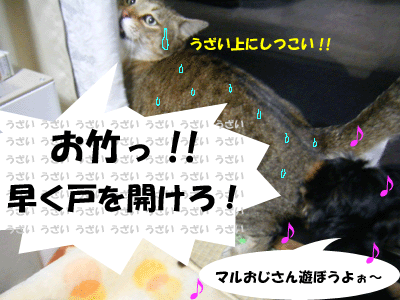 f0008935_1711652.gif