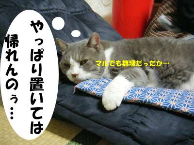 f0008935_1713391.gif