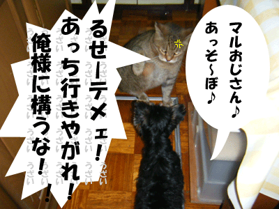 f0008935_171792.gif