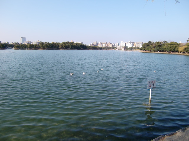 b0012636_16421612.jpg
