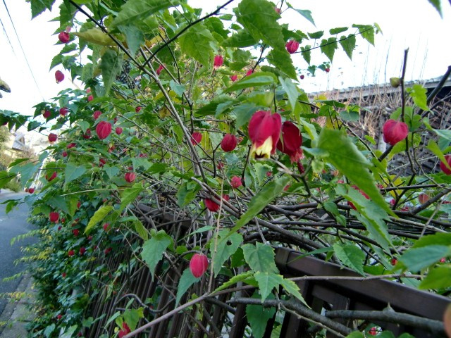 b0012636_16443975.jpg