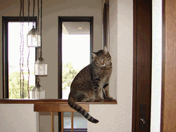 c0136736_18342691.gif
