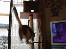 c0136736_18354361.gif