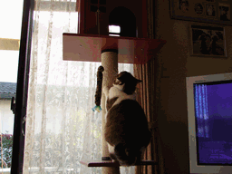 c0136736_18355876.gif