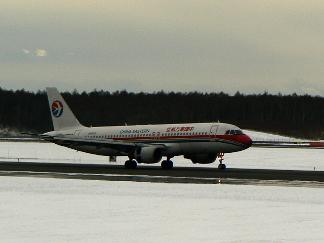 b0032140_23124179.jpg