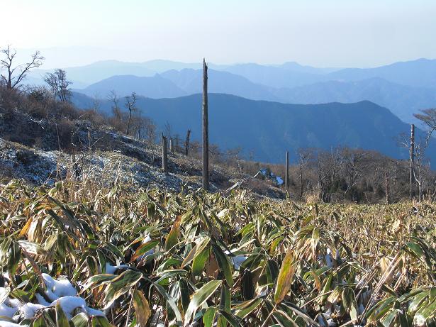 e0164643_238676.jpg