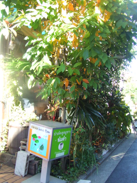 c0071545_2227856.jpg