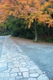 c0122445_19433432.jpg
