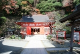 c0122445_19454017.jpg
