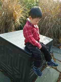 f0040148_957911.jpg