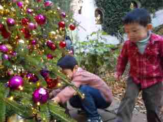 f0040148_95797.jpg