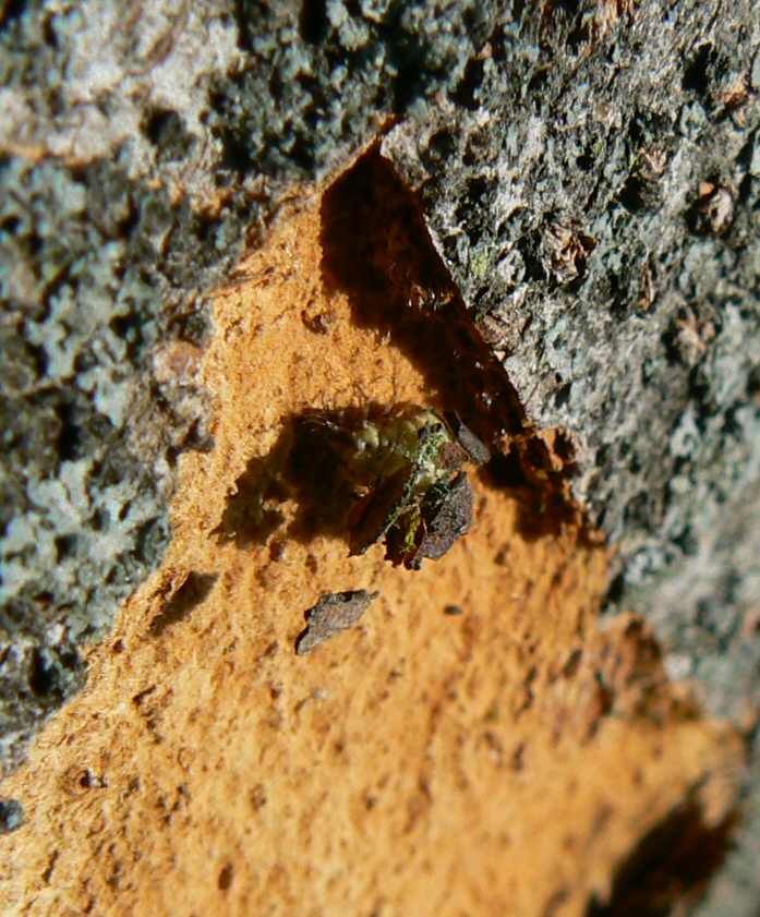 d0091754_232960.jpg