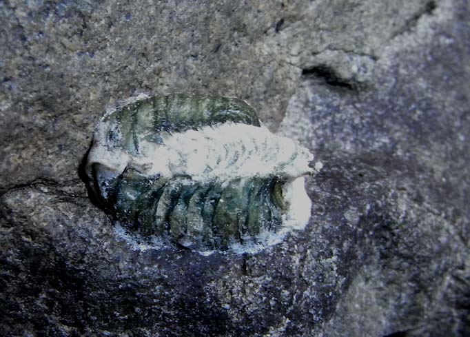 d0146854_2213498.jpg