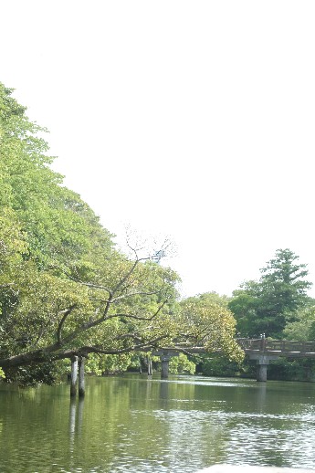 e0068962_12183030.jpg