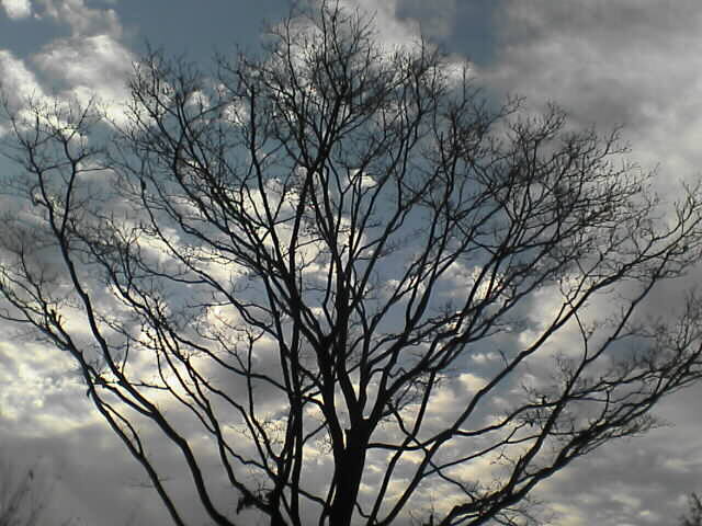 c0069380_12595285.jpg