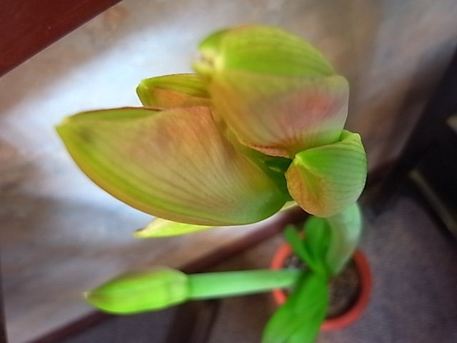 c0158081_0541019.jpg