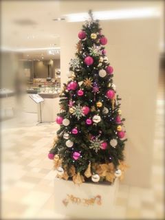 e0132881_032188.jpg