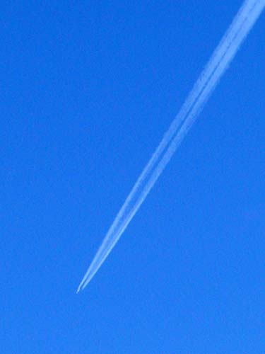 f0092382_4165924.jpg