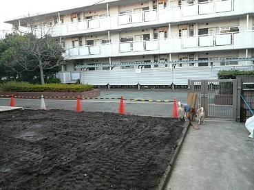 c0123890_2265680.jpg