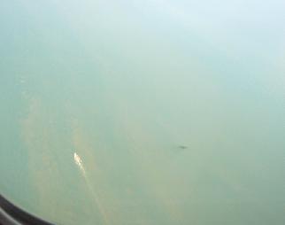 e0077899_749810.jpg