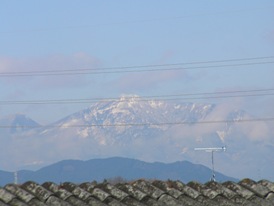 f0109900_1440921.jpg