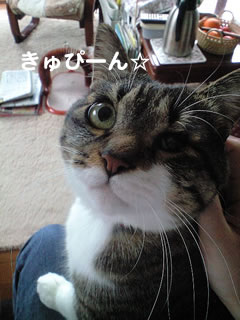 c0035001_16271669.jpg