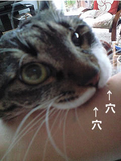 c0035001_16275337.jpg